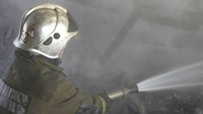Спасатели смогли ликвидировать лесной пожар вблизи деревни в Омской области