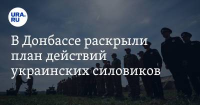 В Донбассе раскрыли план действий украинских силовиков