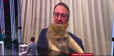 "Ой, как мило": Наглый кот Геращенко неожиданно "ворвался" в прямой эфир и довёл студию до истерики