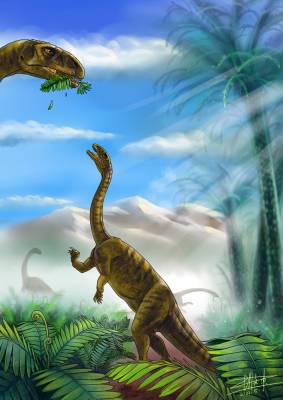 В Китае найдены окаменелые кости странного динозавра неизвестного вида