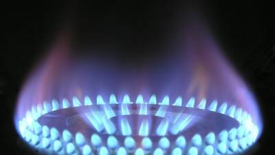 "Газпром" назвал условие бесплатного проведения газа к участкам россиян