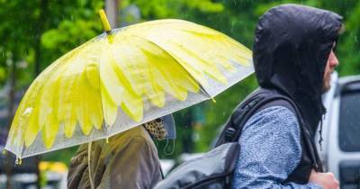 Дожди, грозы и шквальный ветер: где в Украине резко изменится погода 7 мая