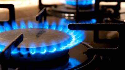 В «Газпроме» раскрыли, кому проведут газ в дом бесплатно