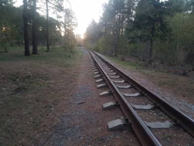 В Челябинской области поезд сбил школьницу во время селфи