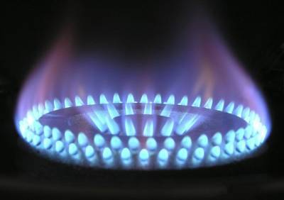 В «Газпроме» пообещали бесплатно провести газ в небольшие частные дома