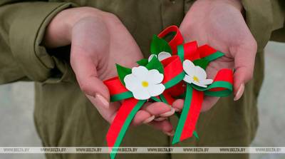 Автопробег, концерт и посадку аллеи проведет БРСМ в Могилевской области ко Дню Победы