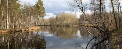 В ближайшие дни на реках Пермского края ожидается пик половодья