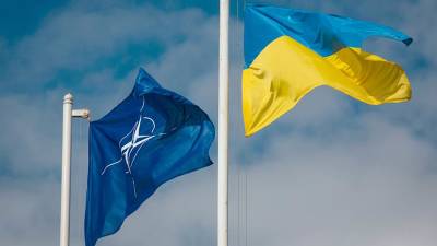 Глава ЛНР прокомментировал идею вступления Украины в НАТО