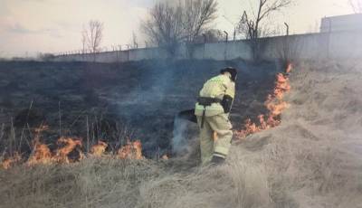 Чеховцам разъяснили новые требования пожарной безопасности для дачников