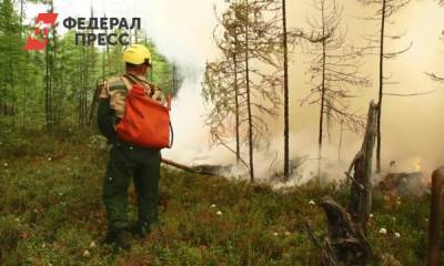В Тюменской области горит больше 5 гектаров леса