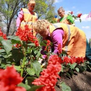 В Запорожье работники «Зеленстроя» высадили в зонах отдыха десятки тысяч цветов. Фото