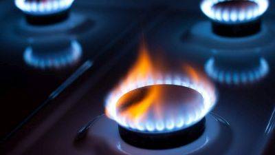 В "Газпроме" пообещали бесплатно газифицировать небольшие дома