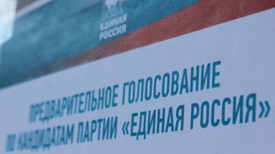 Россияне активно регистрируются для участия в голосовании на праймериз "ЕР"