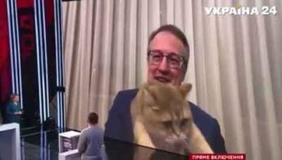 Курьез: Рыжий кот Антона Геращенко во время прямого эфира пытался закрыть камеру хвостом (ВИДЕО)