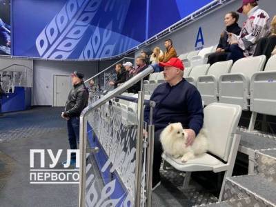 Одиночество: Лукашенко смотрел хоккей со шпицем