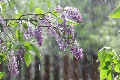 Дощі, грози та заморозки. Прогноз погоди на 8 та 9 травня від Наталки Діденко