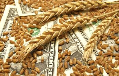 На экспорт ушло 39,2 млн т украинского зерна
