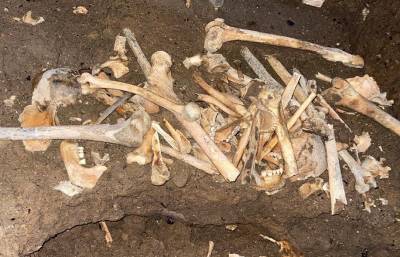 Фото: кости около 10 человек нашли возле поселка Тавры