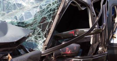Источник: в Калининграде пьяный водитель превысил скорость и врезался в дерево