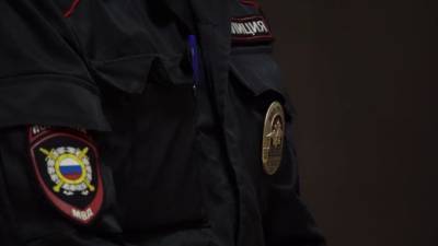 Полиция ищет хулигана, открывшего стрельбу на Авиаконструкторов - piter.tv - Санкт-Петербург - р-н. Приморский - Шушары