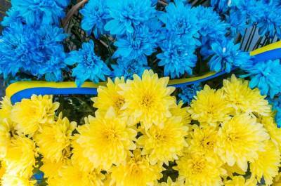 День памяти и 9 мая: более 40% украинцев хотят отмечать обе даты