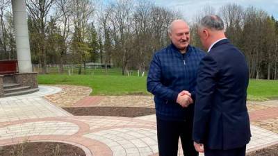 Провал Додона: что делал экс-президент в «Межигорье» Лукашенко