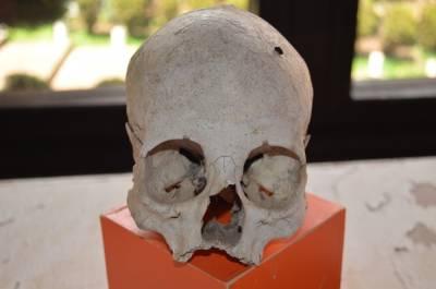 В Ленобласти обнаружили человеческие скелеты времен войны