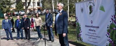 Губернатор НСО Андрей Травников принял участие в акции «Сад памяти»