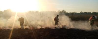 В трех районах Башкирии установлен высокий класс пожароопасности