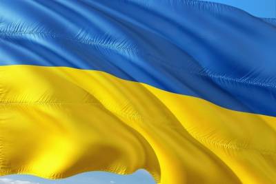 «Борьба Чужого с Хищником»: политологи оценили визит Блинкена в Киев