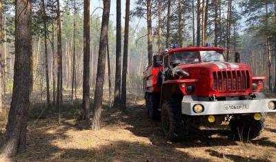 Лесной пожар около села Червишево прошел 52 гектара