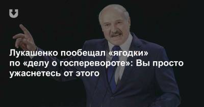 Лукашенко пообещал «ягодки» по «делу о госперевороте»: Вы просто ужаснетесь от этого