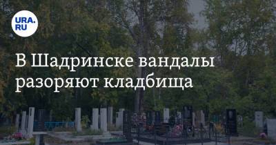В Шадринске вандалы разоряют кладбища - ura.news - район Шадринский - Шадринск