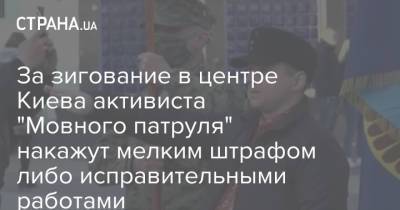 За зигование в центре Киева активиста "Мовного патруля" накажут мелким штрафом либо исправительными работами