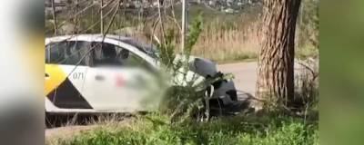 Волгоградский таксист въехал в дерево, вышел и умер