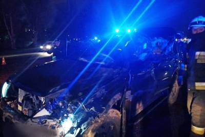 Жуткое ДТП с грузовиком на украинской трассе: спасатели достали тело из салона, кадры