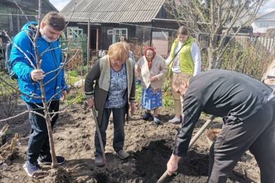 Мичуринцы сажают деревья у домов ветеранов в рамках акции «Сад Памяти»