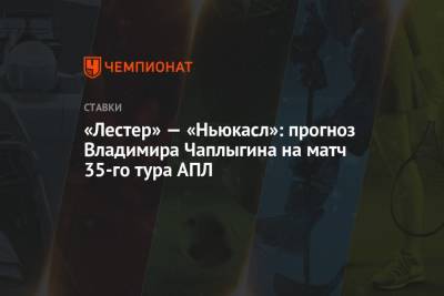«Лестер» — «Ньюкасл»: прогноз Владимира Чаплыгина на матч 35-го тура АПЛ