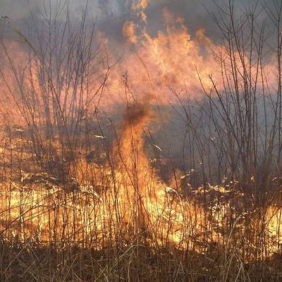 В Татарстане пожар повредил и уничтожил 12 домов в дачном поселке