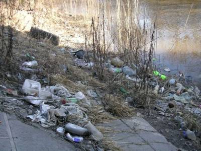 «Год экологии в Петербурге — бессмысленный и беспощадный»: в сети появились фото покрытой мусором Красненькой речки