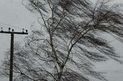 В Костромской области выпустили метеопредупреждение о штормовом ветре и грозе