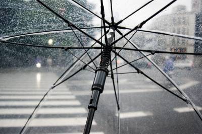 В Ленобласти 8 мая ожидаются сильные дожди, мокрый снег и до -1 °C