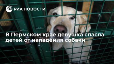 В Пермском крае девушка спасла детей от нападения собаки