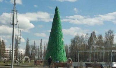 Мэр Агидели объяснил, почему в центре города до сих пор стоит новогодняя елка