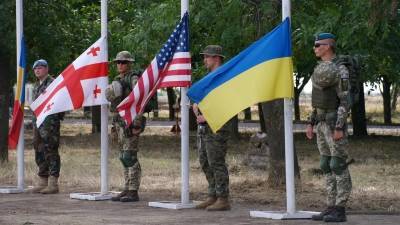 Кедми: Вступление Украины в НАТО — плод фантазии недоразвитого Блинкена