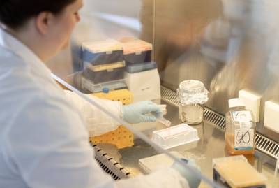 В НАН Украины обещают разработать COVID-вакцину до конца года