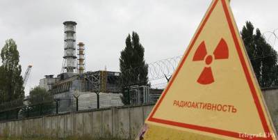 СБУ заблокировала первую партию самогона ATOMIK компании Chernobyl Spirit из яблок, выращенных близ ЧАЭС - ТЕЛЕГРАФ