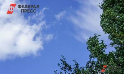 В Петербурге 9 мая будет прохладно, но сухо