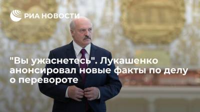 "Вы ужаснетесь". Лукашенко анонсировал новые факты по делу о перевороте