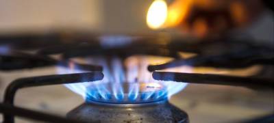 Бесплатно провести газ россиянам в дома небольшой площади пообещали в «Газпроме»